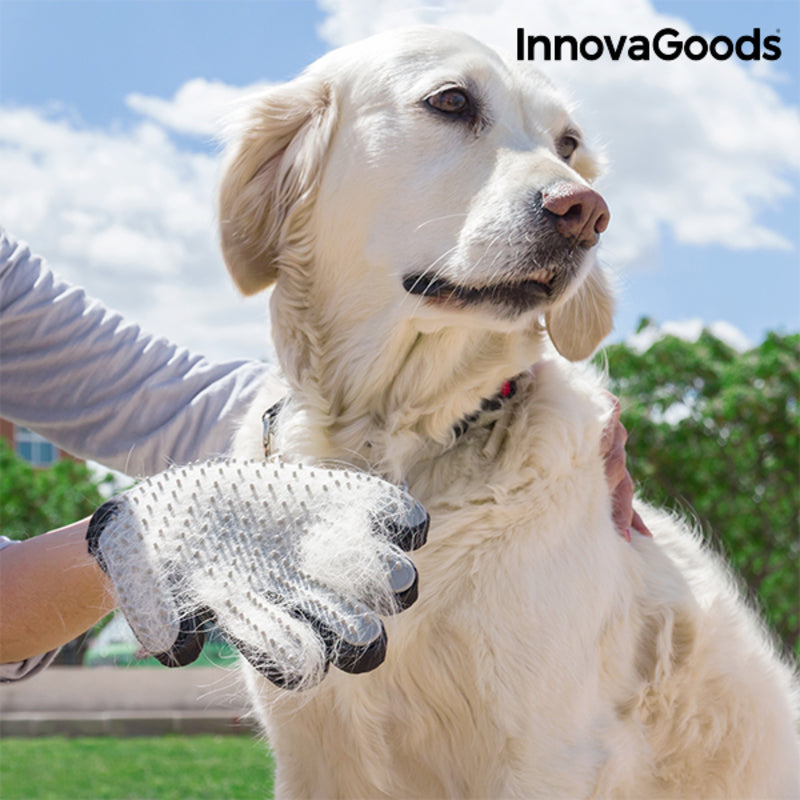 Pet Grooming & Massage Glove - Removes Loose Fur Gently
