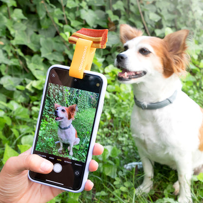 Selfie Clip for Pets