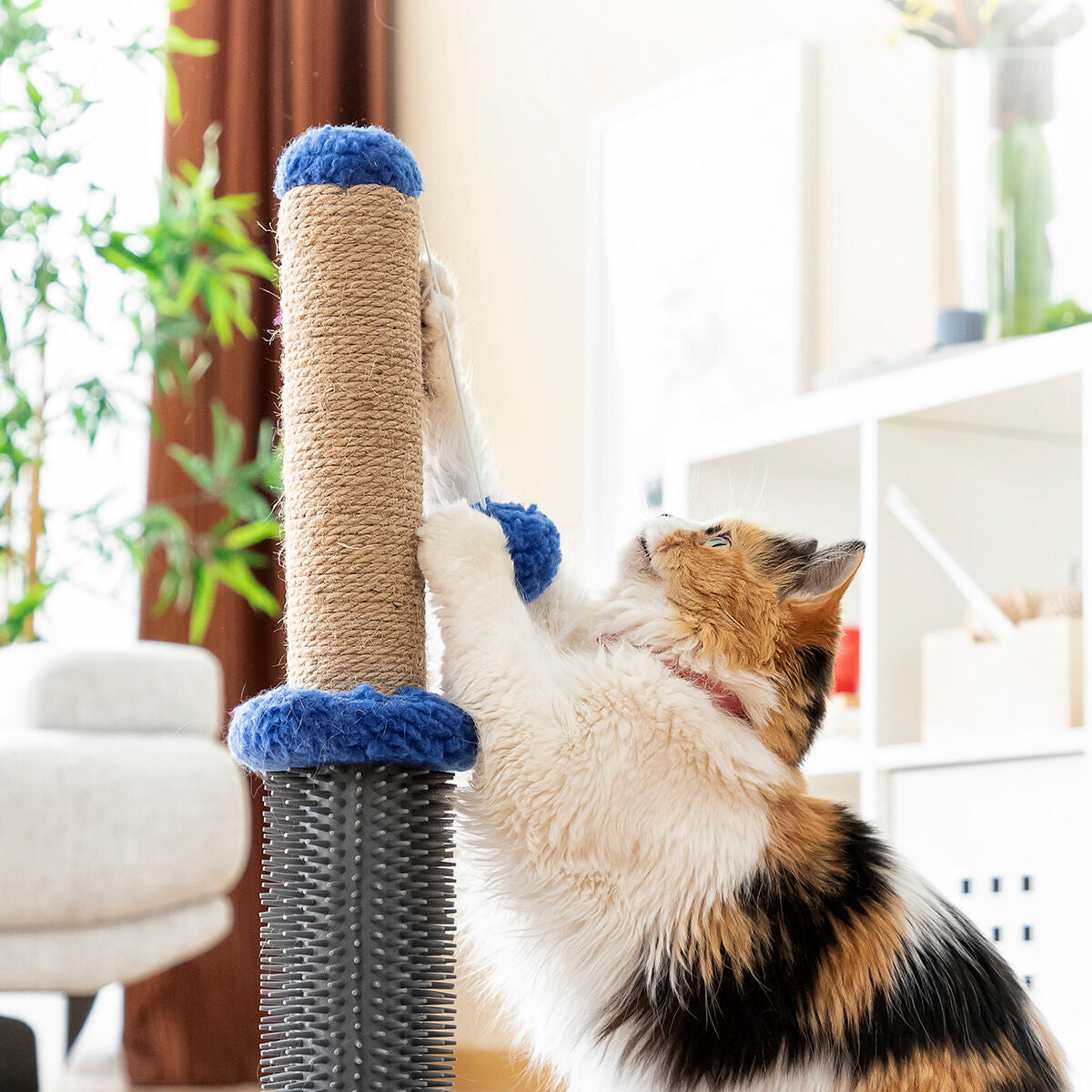 Cat Scratching and Massage Post with Ball
