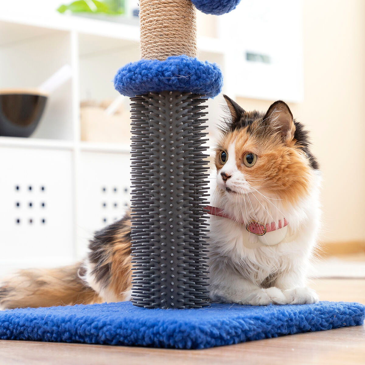 Cat Scratching and Massage Post with Ball